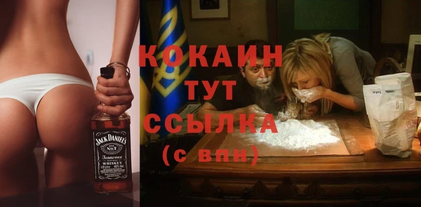 мдпв Михайловск