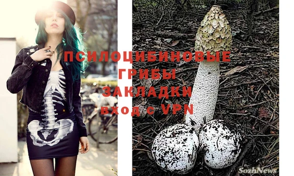 PSILOCYBIN Михайловка