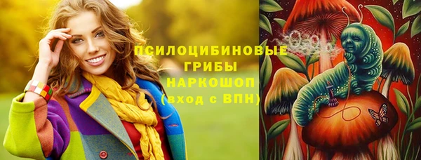 мдпв Михайловск