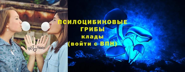 PSILOCYBIN Михайловка