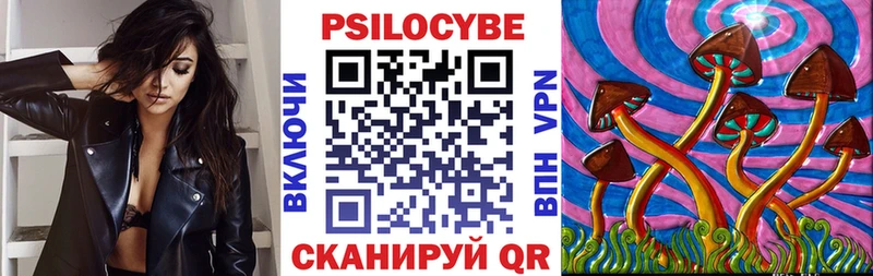 Псилоцибиновые грибы мицелий  закладка  Звенигород 