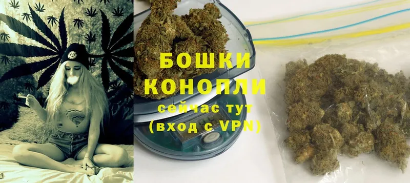 Конопля SATIVA & INDICA  Звенигород 