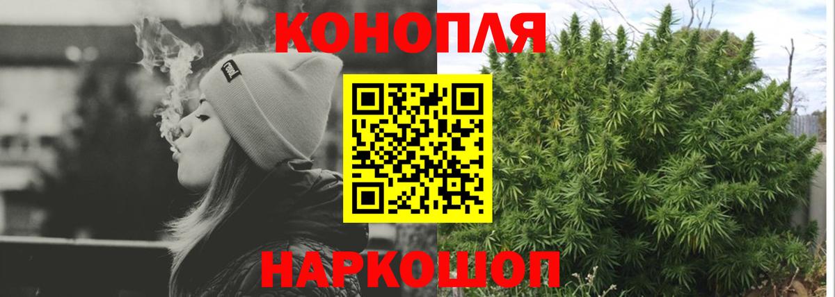 Бошки Шишки Amnesia  Звенигород  МАРИХУАНА планчик 